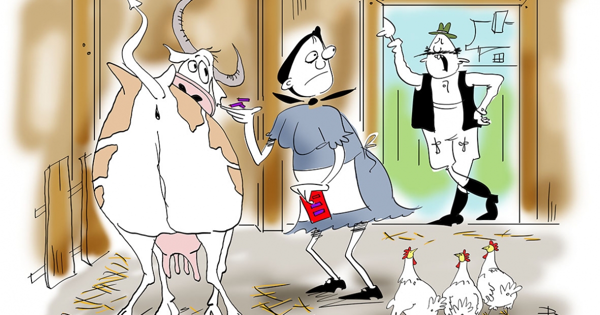 Székely Csürke nem vén tyúk, Para Pista a sztárunk!