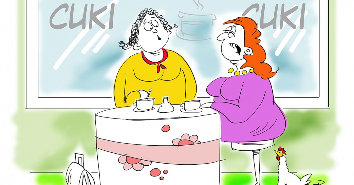 Székely Csürke nem vén tyúk, Para Pista a sztárunk!