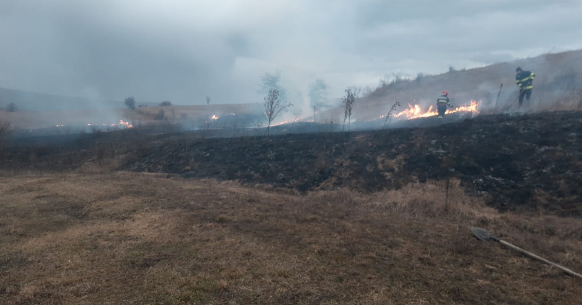 Lángra kapott a száraz növényzet Székelyudvarhely kijáratánál