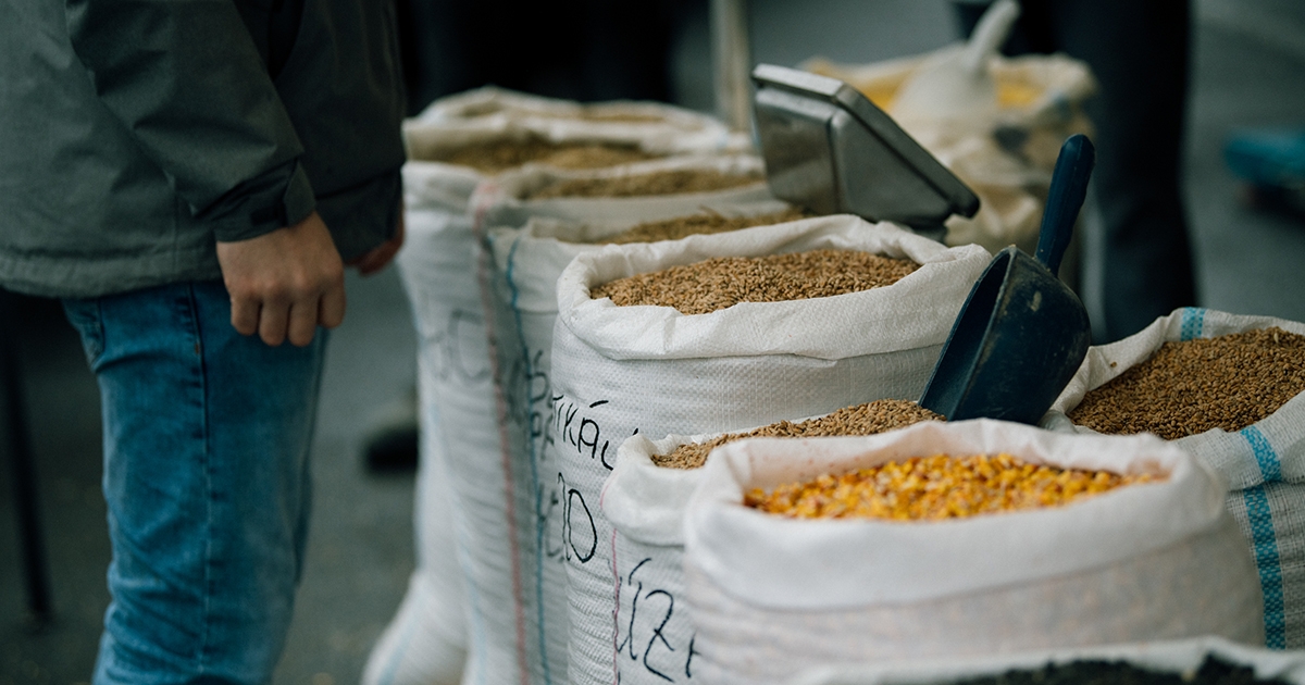 Támogatás nélkül nem éri meg