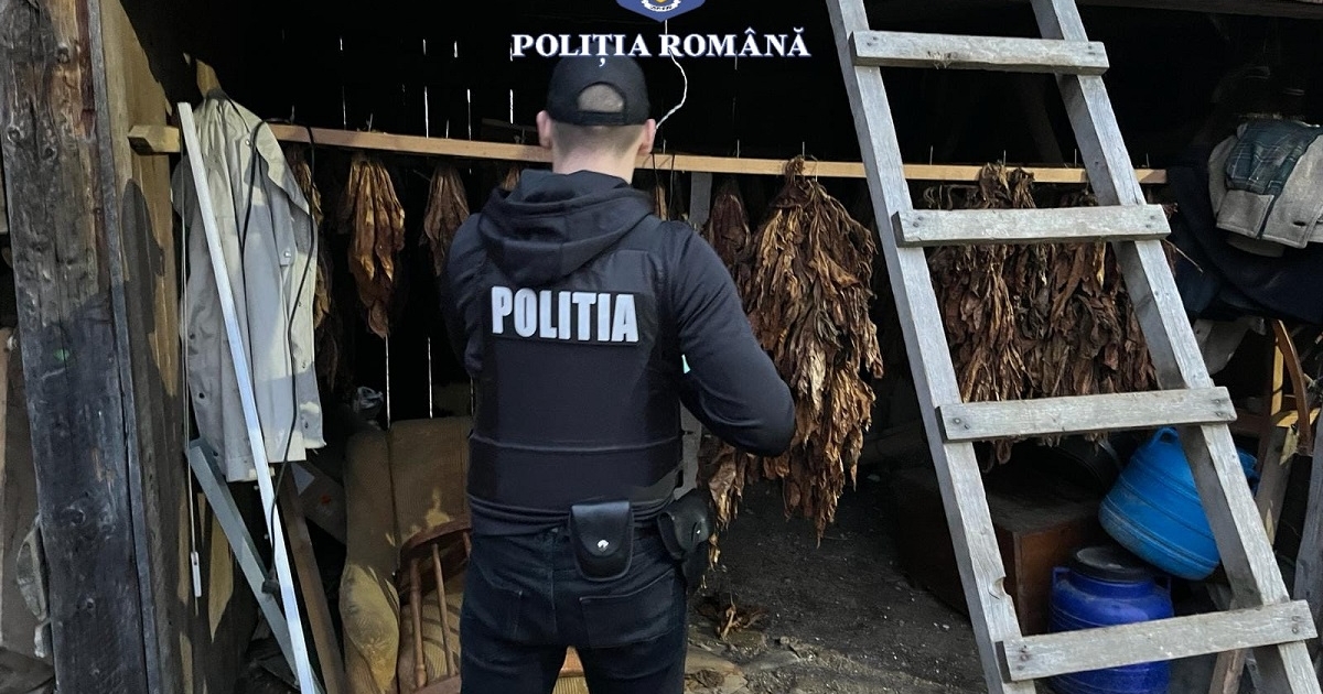 Százhetven kilogramm száraz dohánylevelet kobzott el a rendőrség egy siménfalvi férfitól