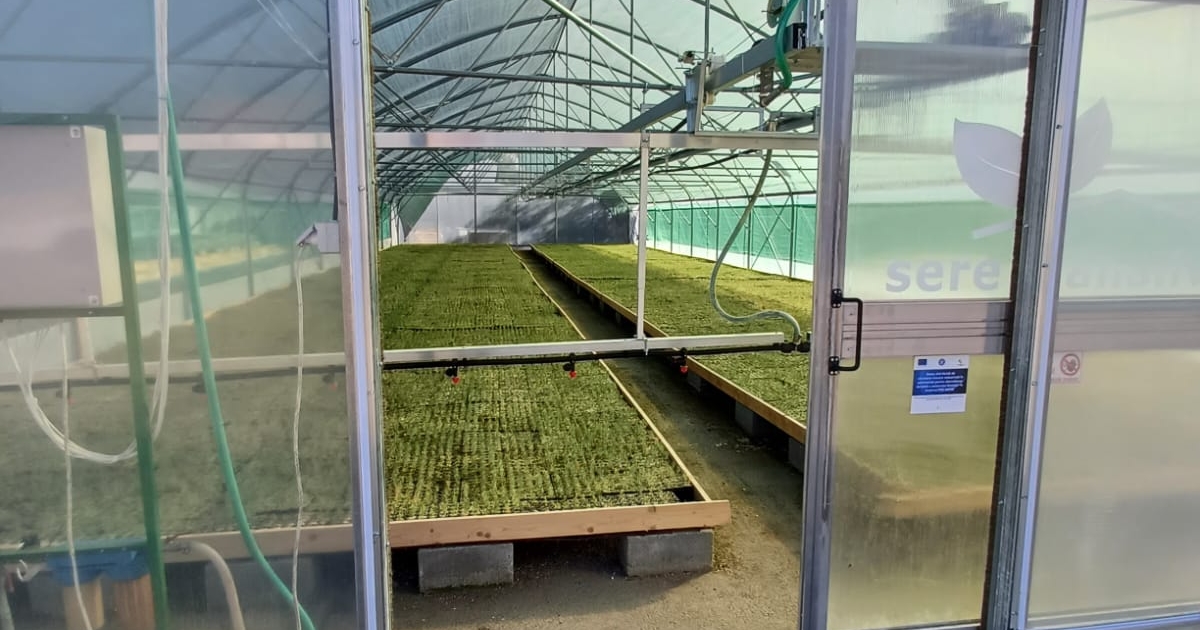 Sikeres gépparkbővítéstől a luxuskempinggyártásig