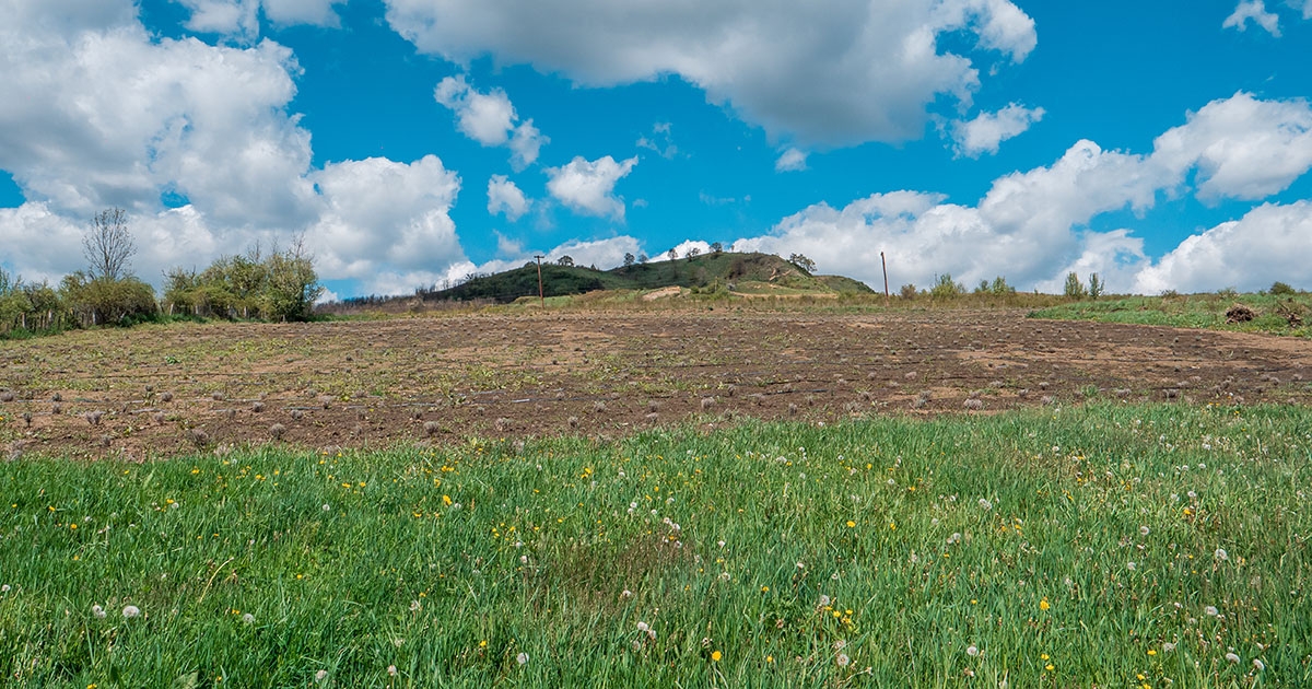 Területenkénti kompenzáció