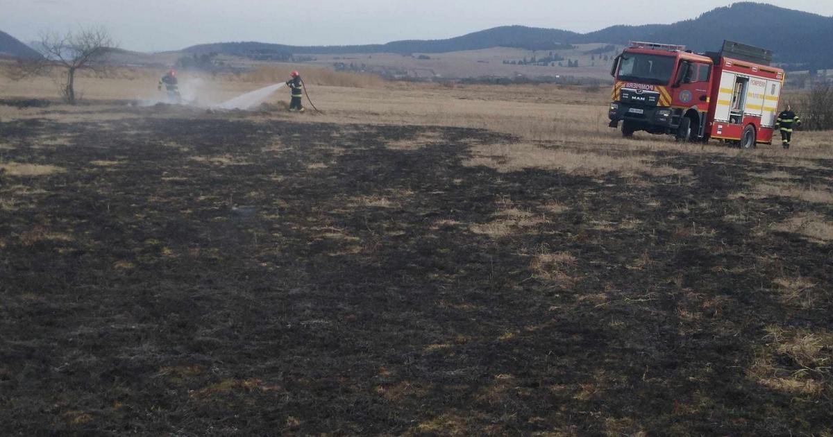 Több helyszínen is szükség volt a közbeavatkozásukra