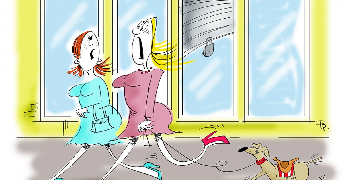 Székely Csürke nem vén tyúk, Para Pista a sztárunk!