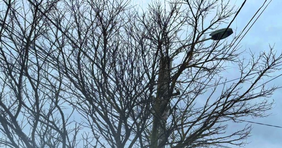 Áramszünet van Csíkszereda néhány utcájában karbantartás miatt