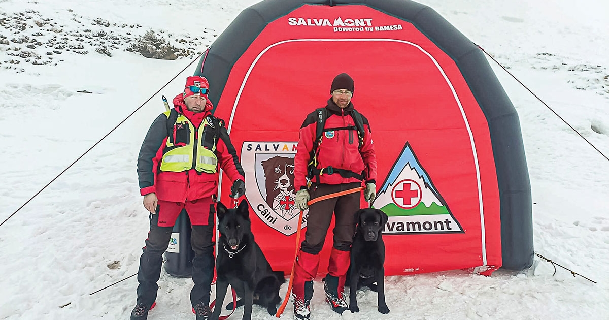 Lavina esetén is bevethetők