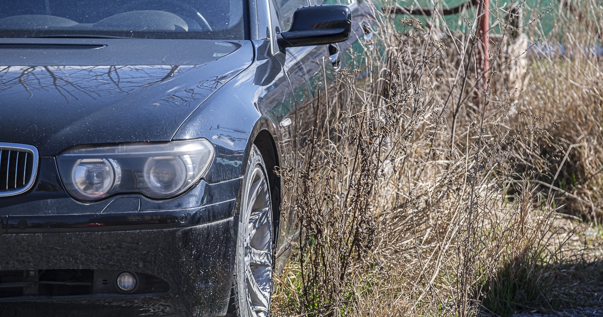 Jó ütemben fogyatkoznak a tragacsok