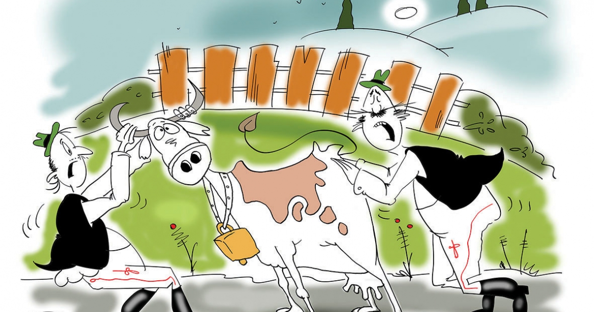 Székely Csürke nem vén tyúk, Para Pista a sztárunk!