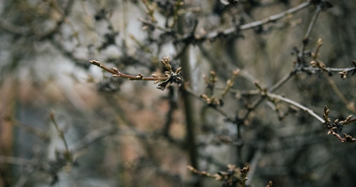 Időjárás: vasárnapig kitart a meleg, 16-án erős lehűlés kezdődik