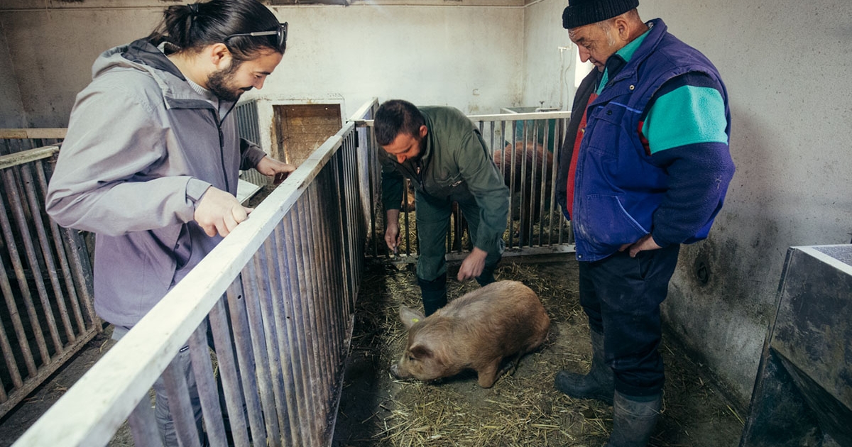 Állatorvossal a terepen