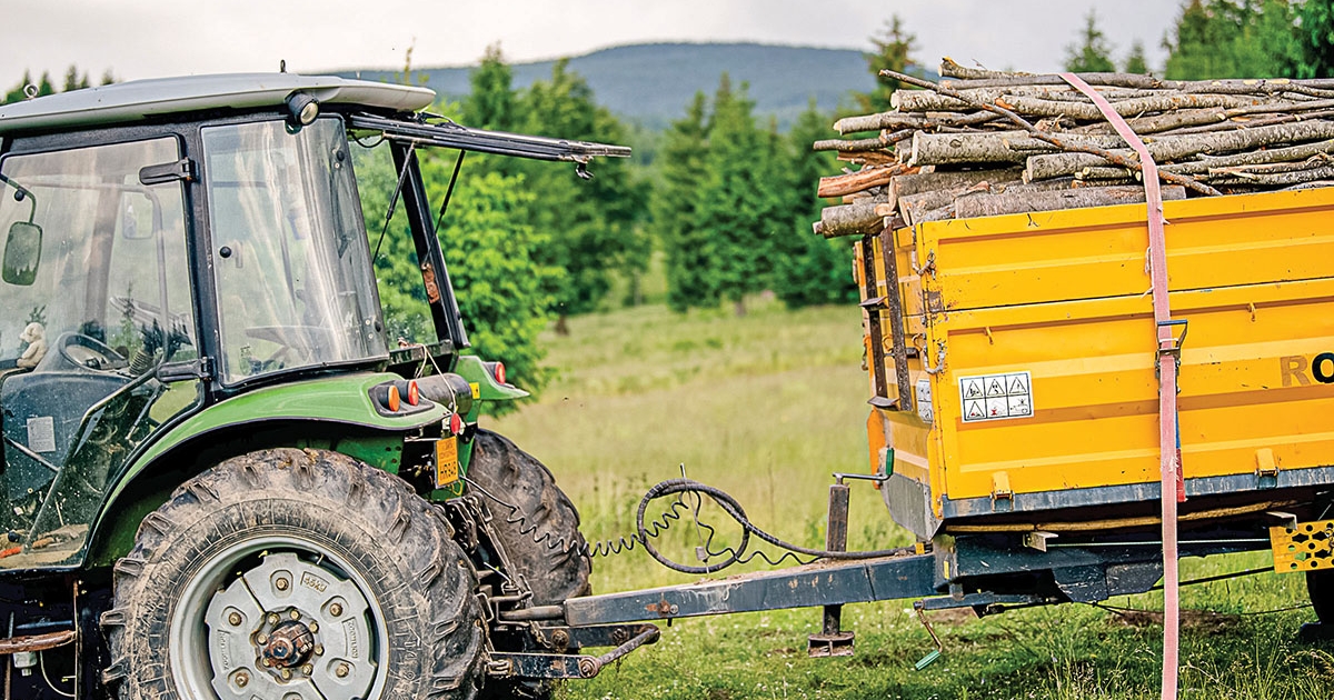 A fából sosem elég