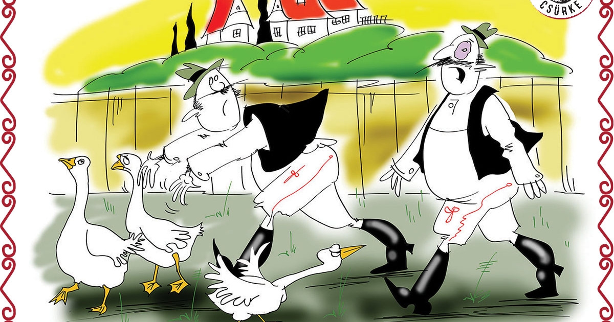 Para Pista, fiatalúr, készül-e a karikatúr'?