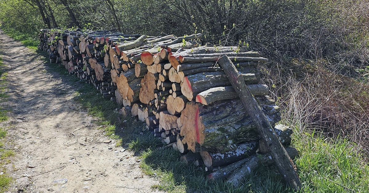 Tűzifát  igényelhetnek