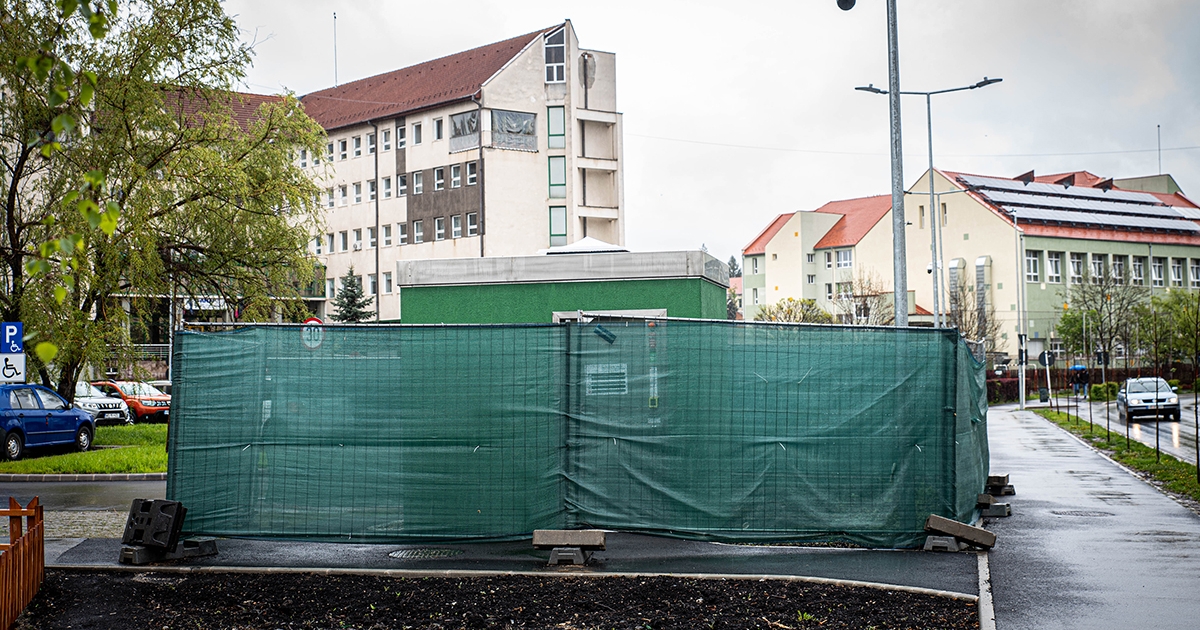 Okos vagy buta, csak legyen