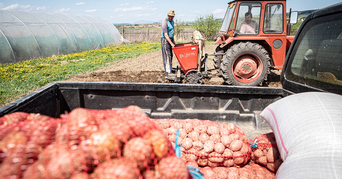 Elültették a székely valutát