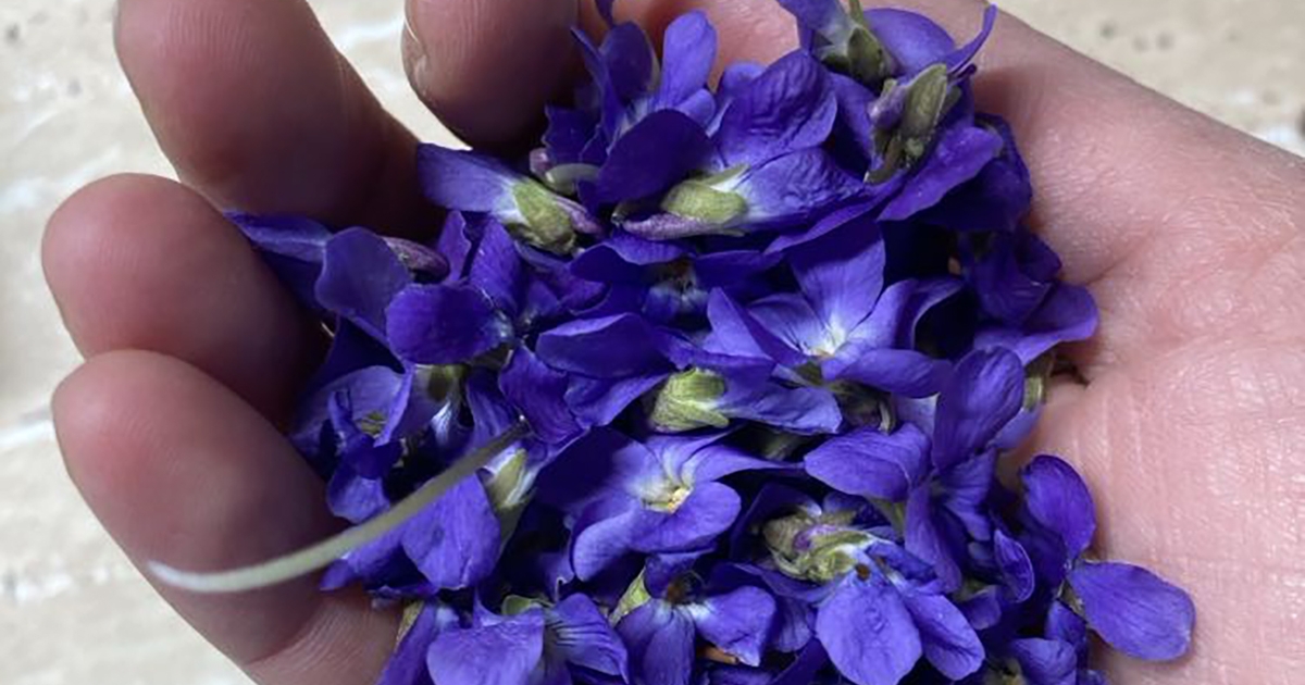 Tavaszi feltöltődés