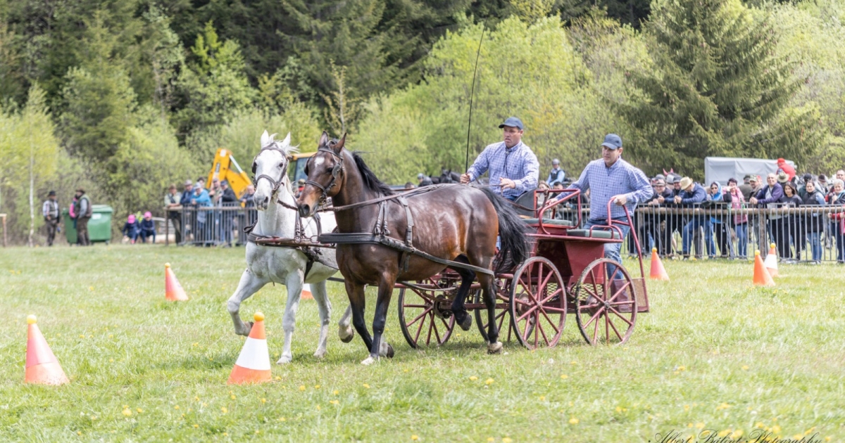 Több ezren vettek részt a Csíkszentdomokosi Lovasnapon