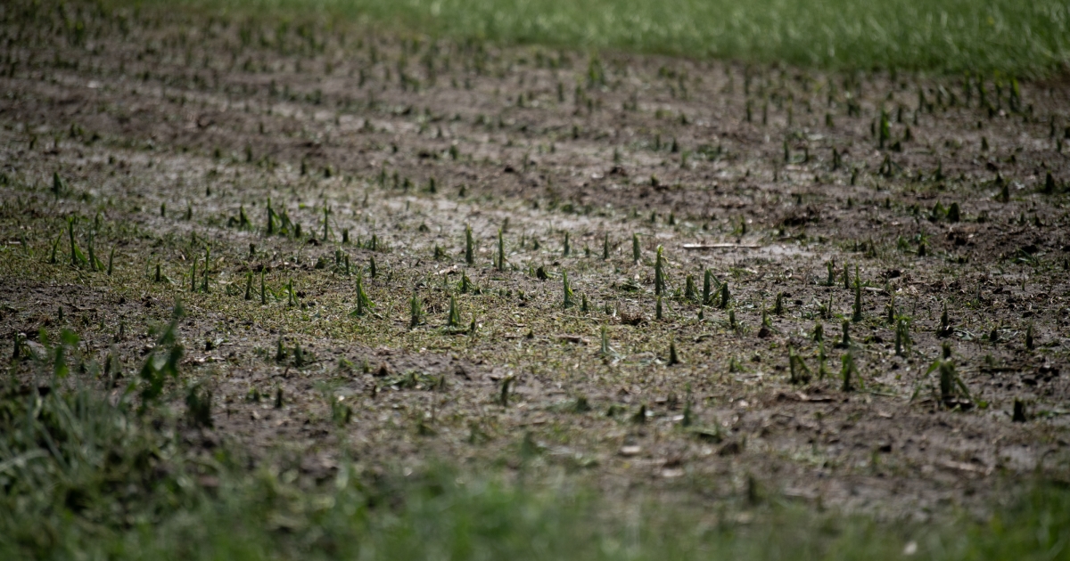 Harmadfokú viharjelzés Maroshévízen és Galócáson