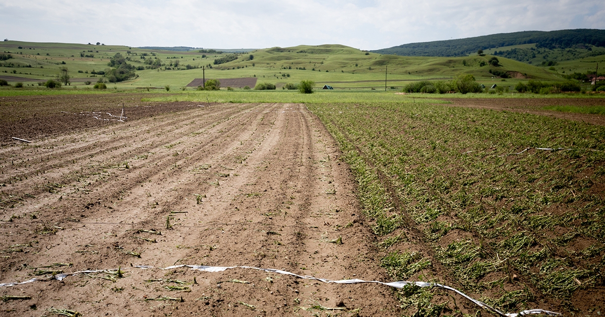 Kártérítés csak biztosítással