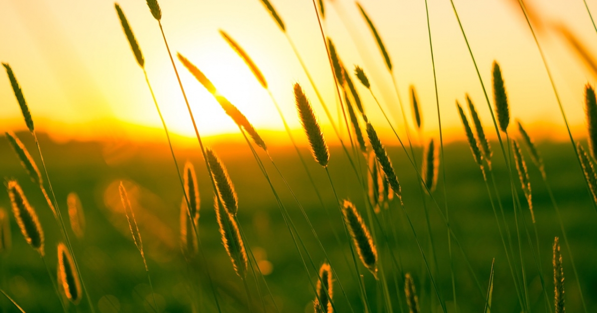 Országszerte kánikula lesz a következő időszakban; zivatarok is várhatók