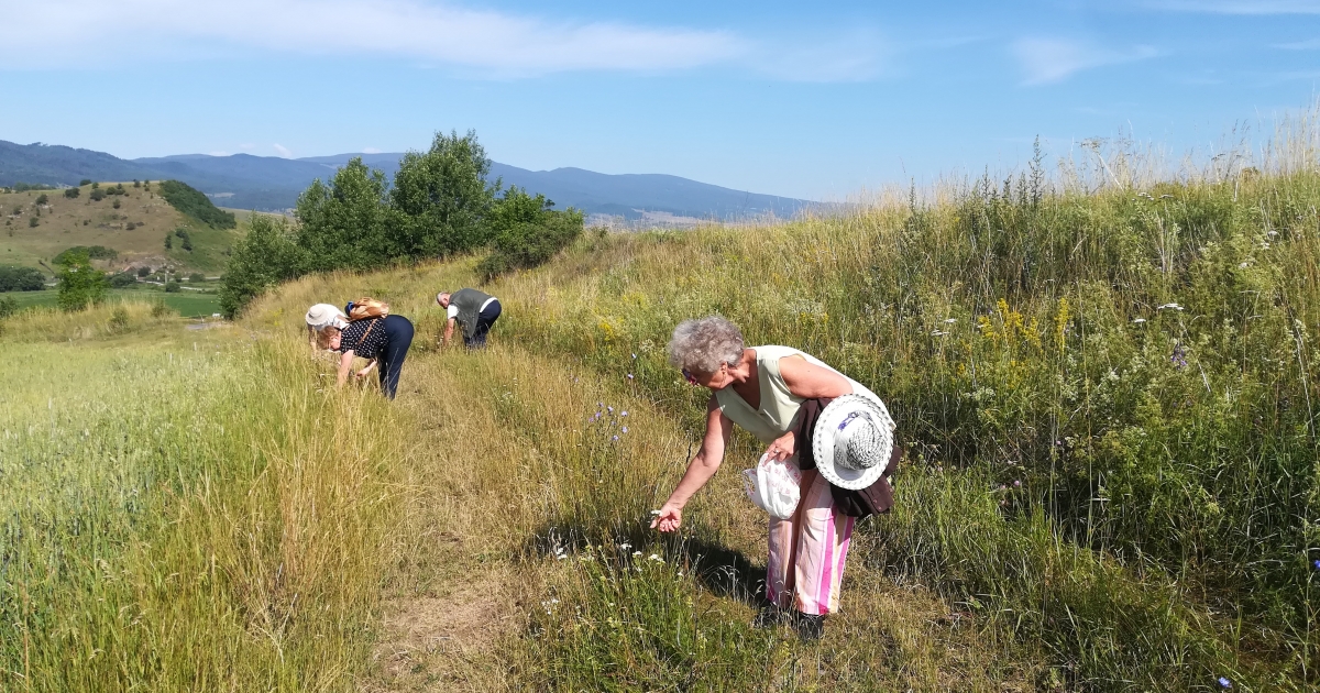 Zöld séta a Providentia Idősek Központjával