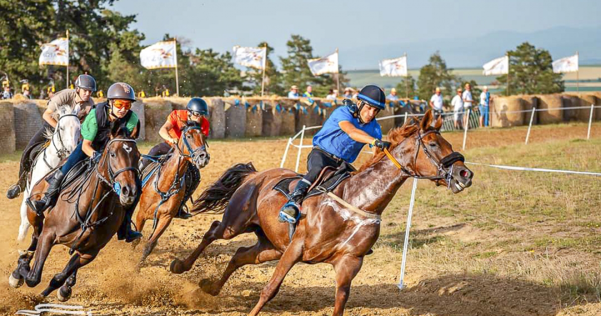 Jól szerepeltek a Hargita megyei versenyzők