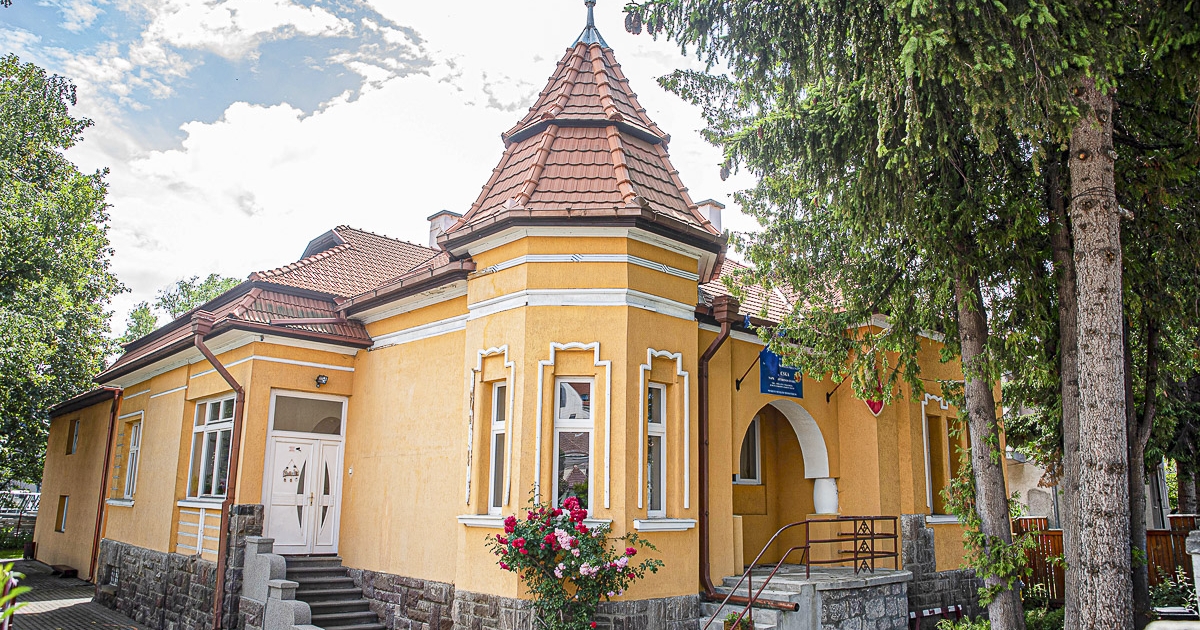 Napocskából Micimackó