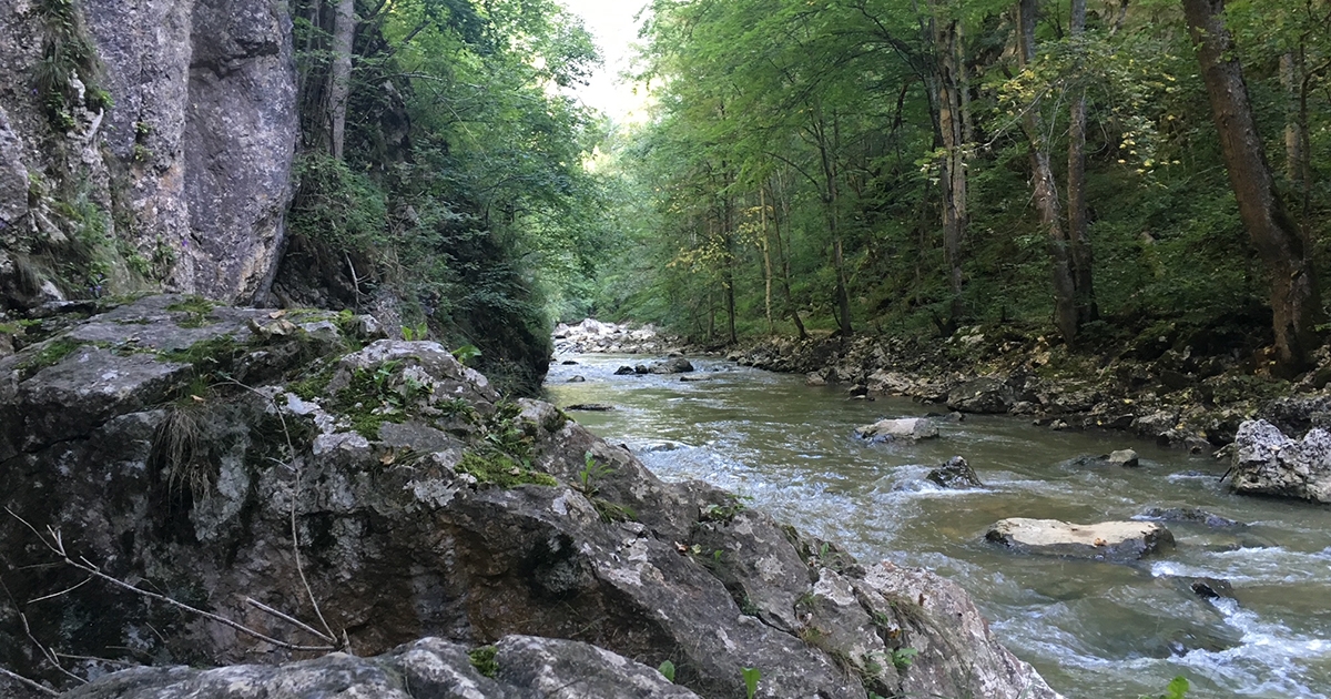 Vadregényes Vargyas-szurdok