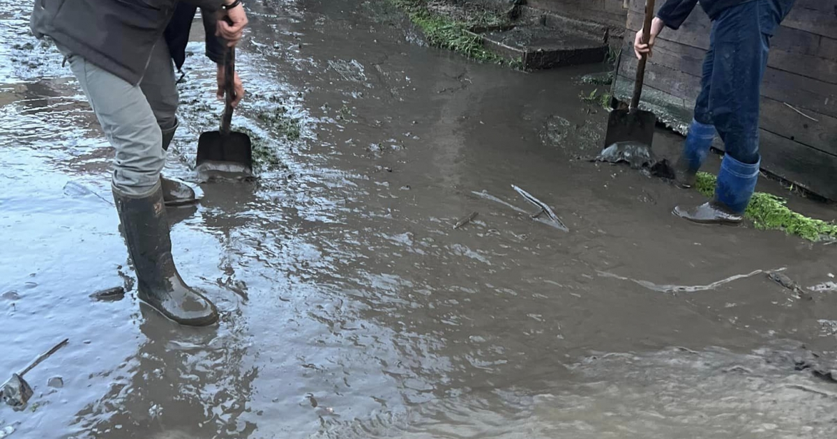 Menesztették az országos vízügyi igazgatóság vezetőjét