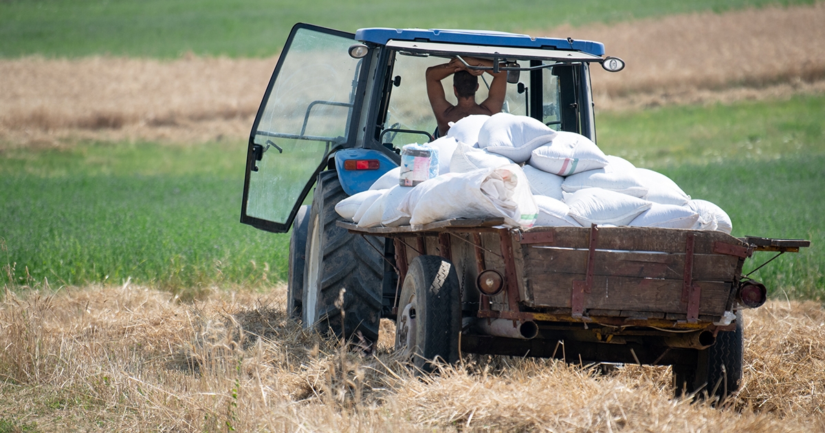 Mezőgazdasági biztosítási díjak visszatérítésére hirdetett pályázatot az AFIR