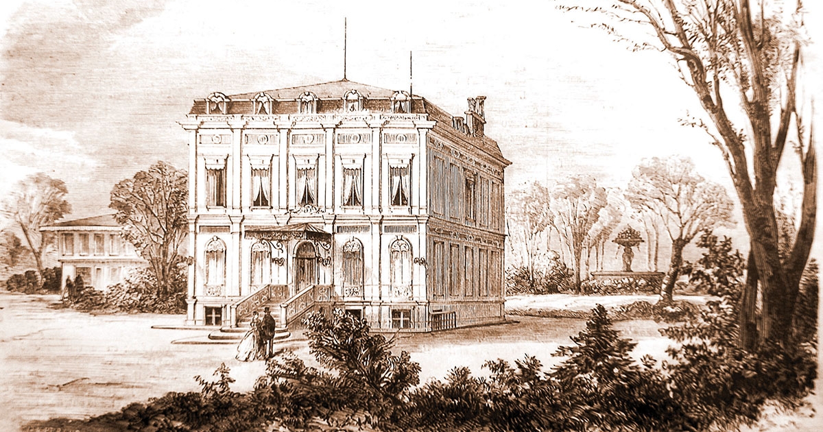 Az ínyenc pesarói hattyú