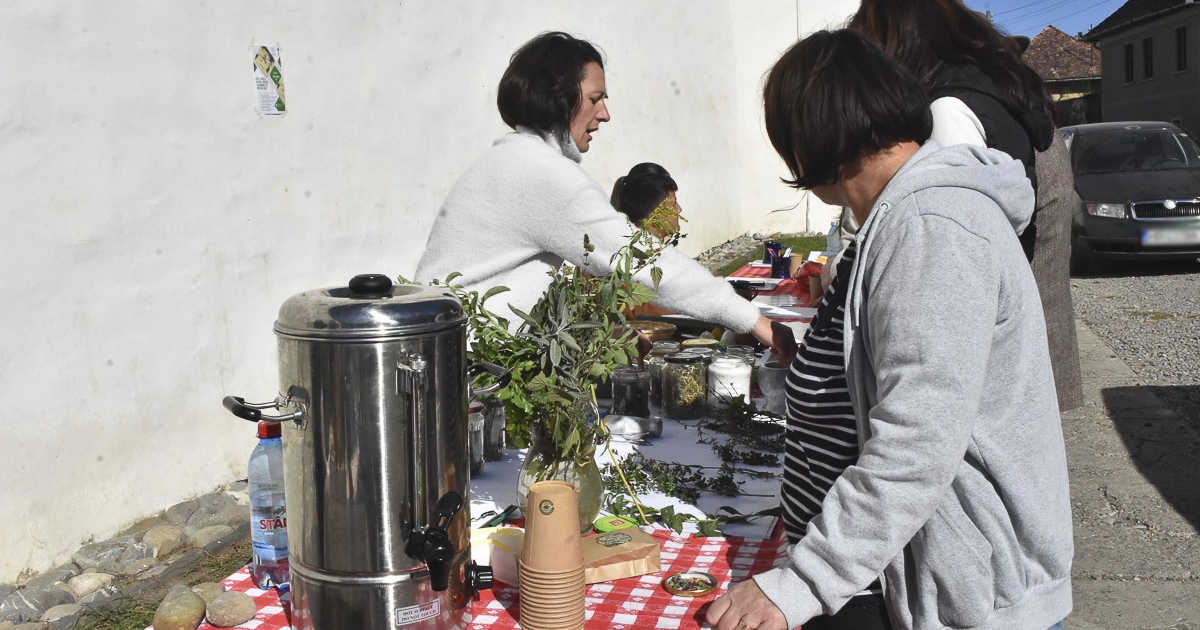 Ahol a történelem együtt él a faluval