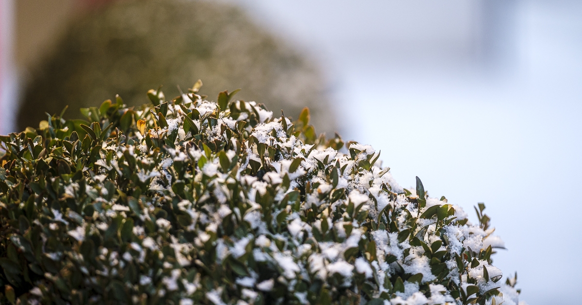 Ezen a reggelen Gyergyószék volt az ország második leghidegebb pontja, -14,8 Celsius-fokkal