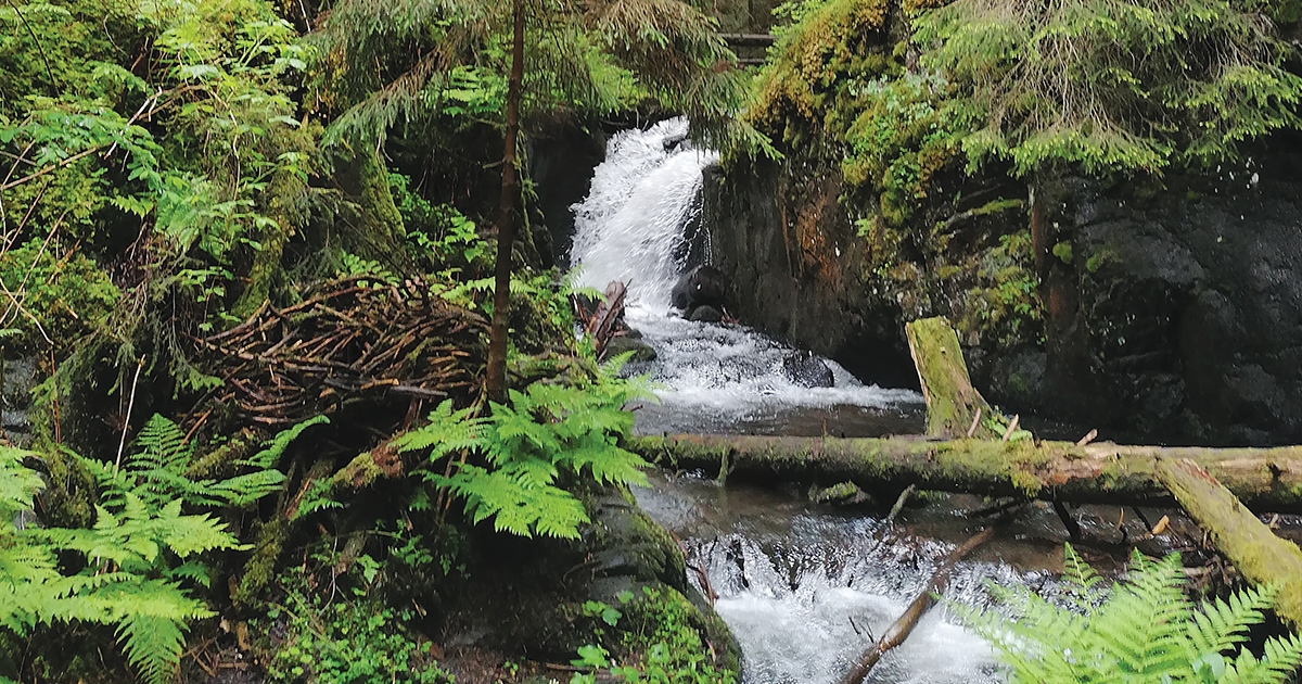 Úton Jézus lábnyomához és a Kőzúgó-vízeséshez