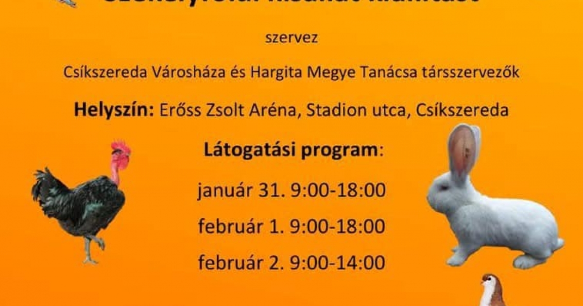 Kisállat-kiállítás Csíkszeredában