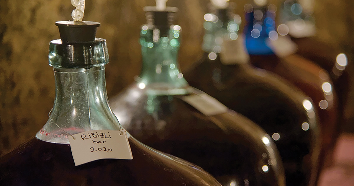 A fanyar-édes bogyó ereje