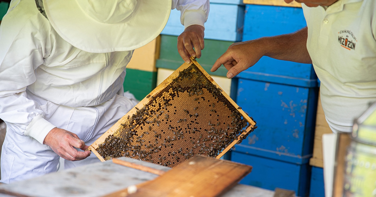 A megmaradt családok erősítése a cél
