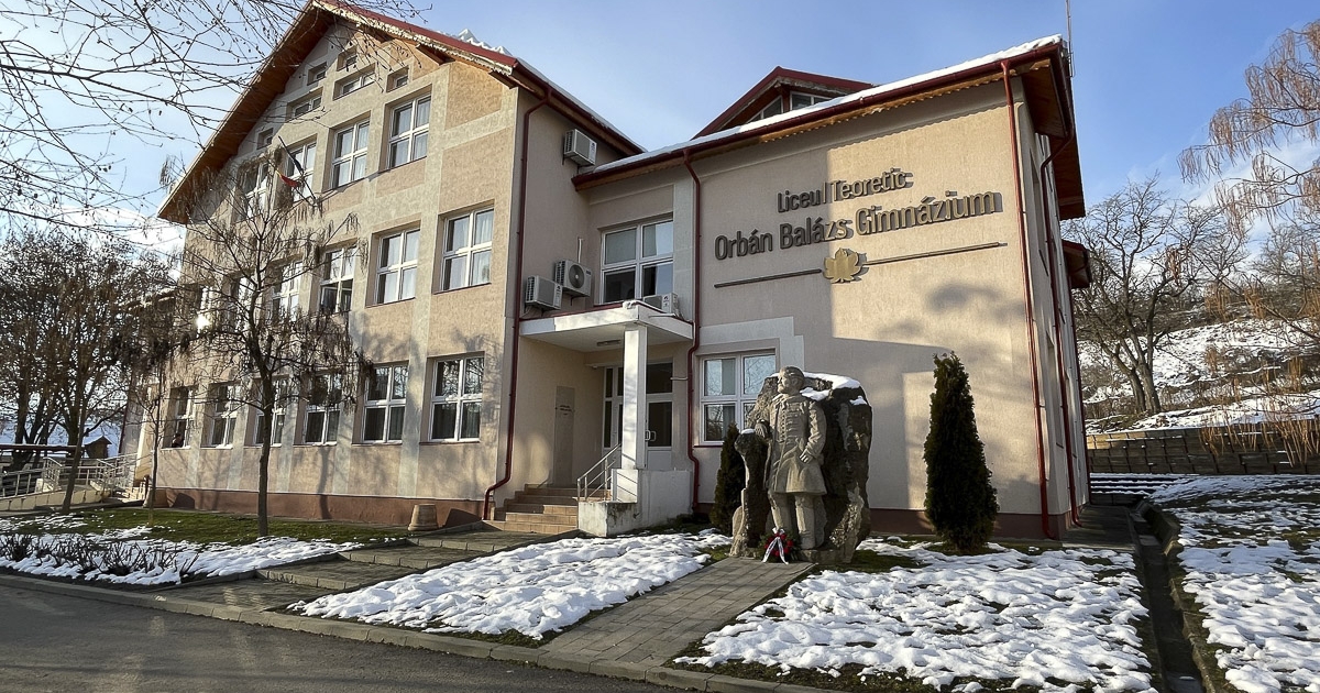 Kicsi medve, nagy felfordulás