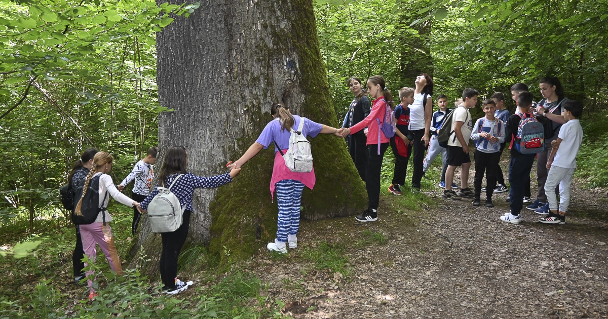 Kimozdítják a gyermekeket a szabadba