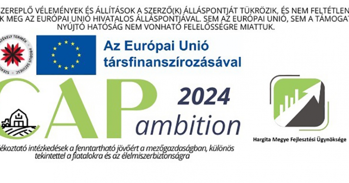 Brüsszelben folytatódik a CAPambition projekt