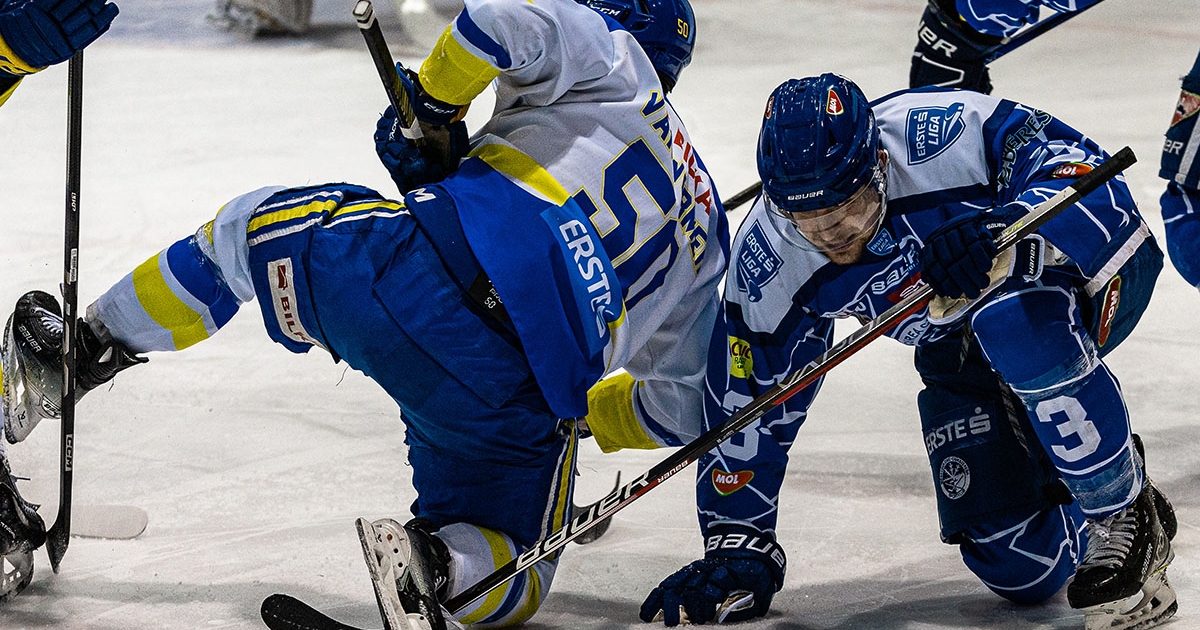 Rangadót nyert a Sportklub