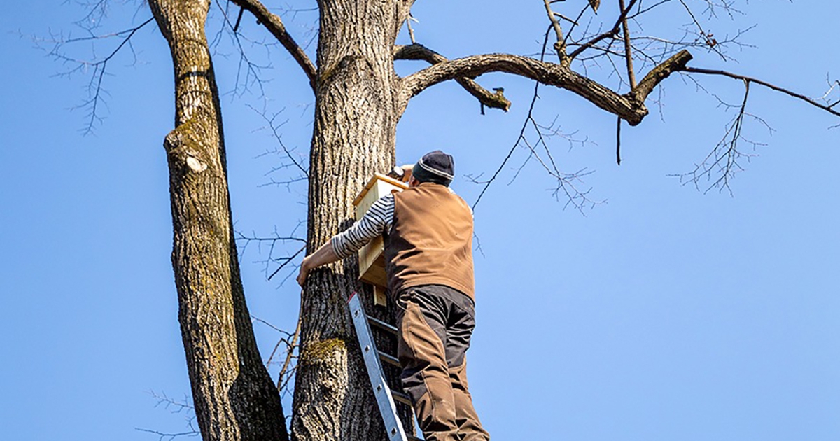 Elmúlás és élet az udvarhelyi városközpontban