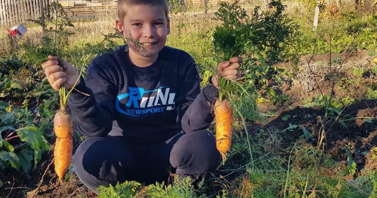 Több mint négyezer diák műveli meg saját kertjét Hargita megyében