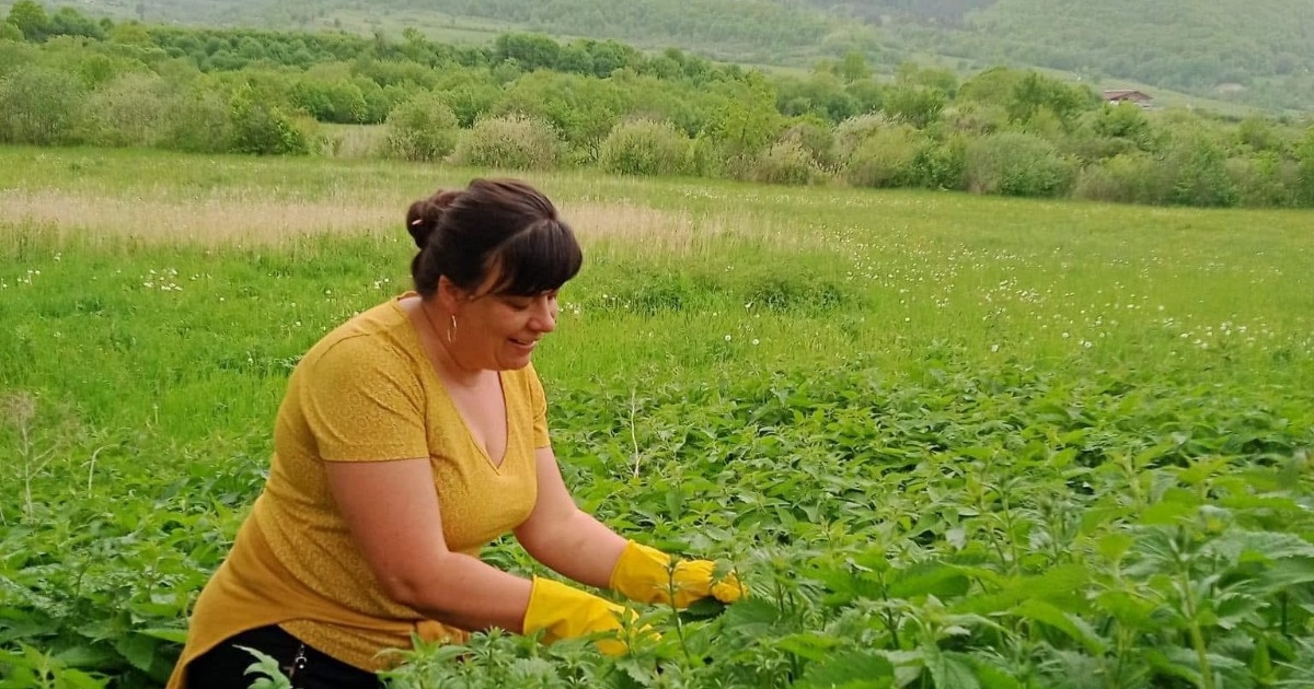 Fűben-fában a gyógymód