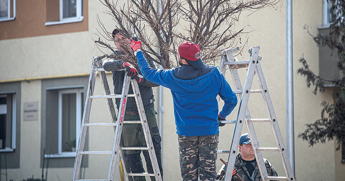Metszés és a virágágyások gondozása van napirenden