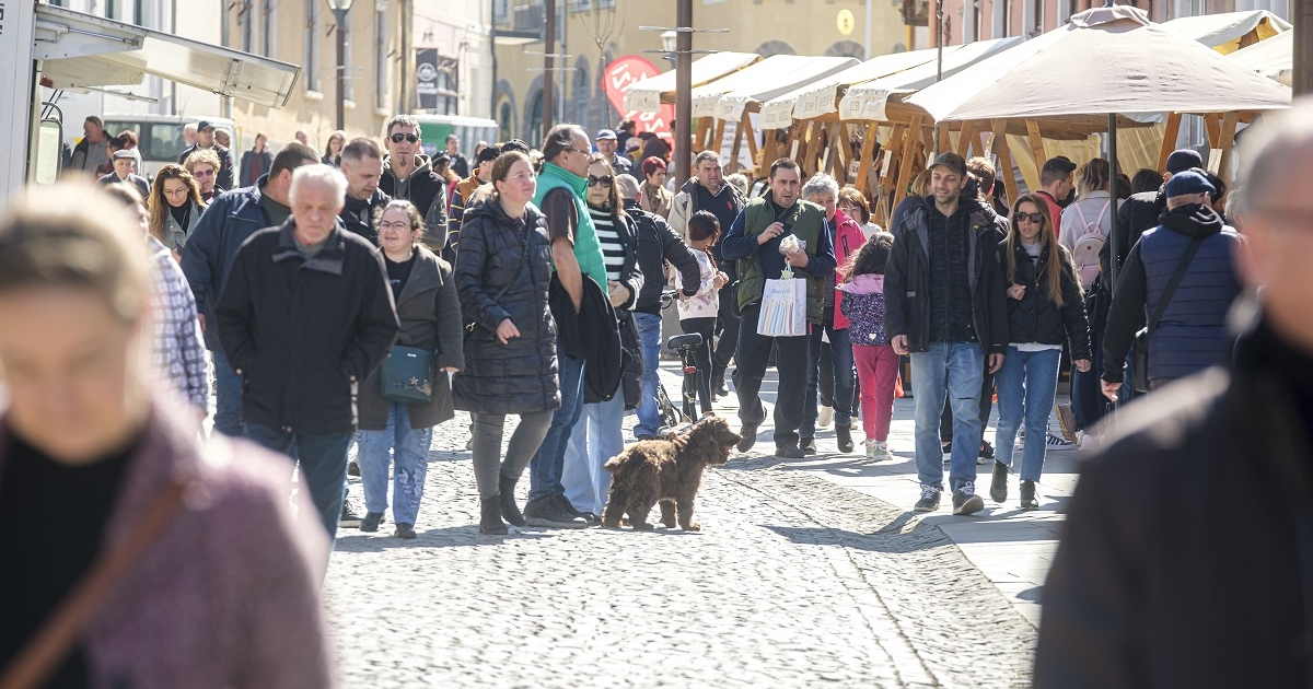 Betöltötték a teret Csíkszereda sétálóutcájában a székelyföldi szalonnamustra résztvevői