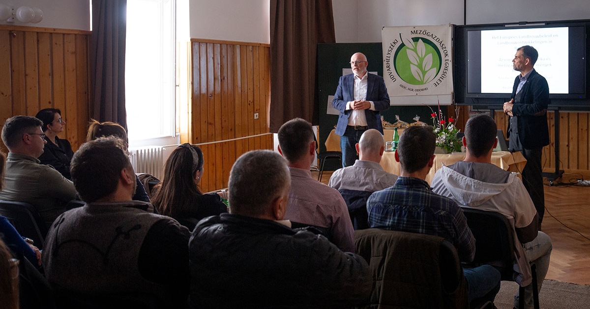 Holland–székely eszmecsere