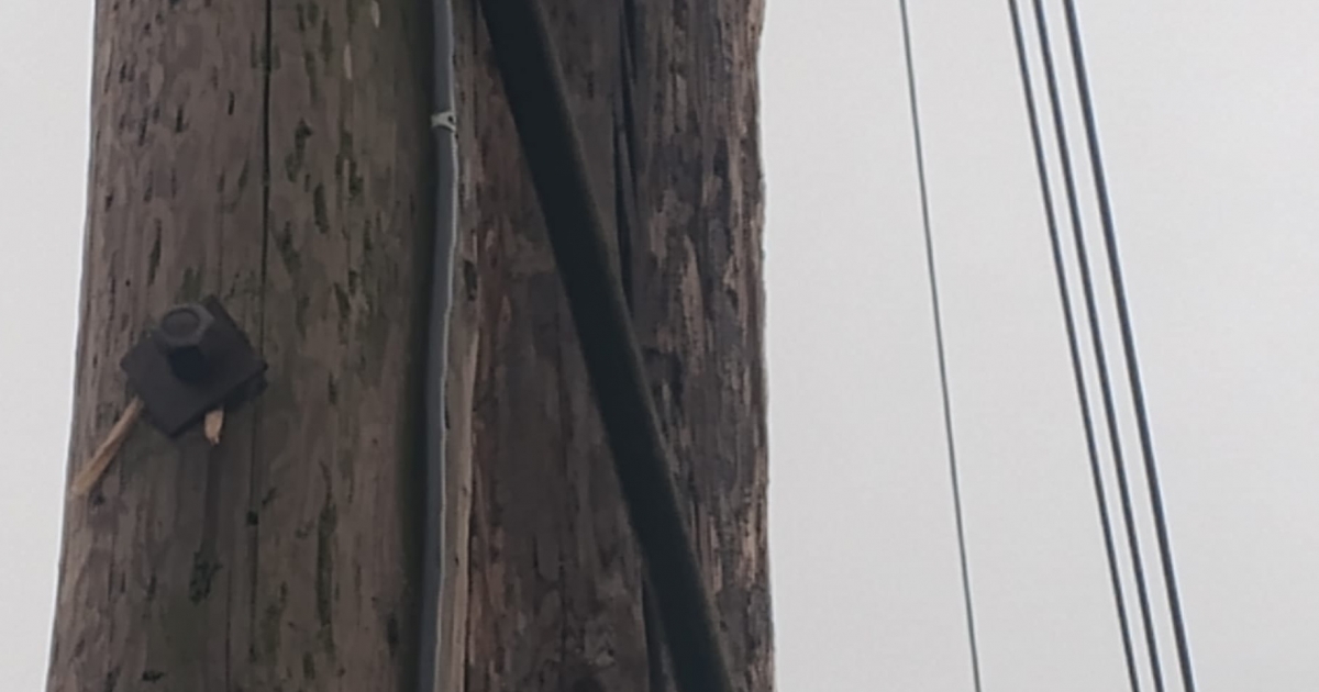 Letörték a székely zászlót a Steaua Bukarest szurkolói Csíkszentkirályon a Turul-szobornál