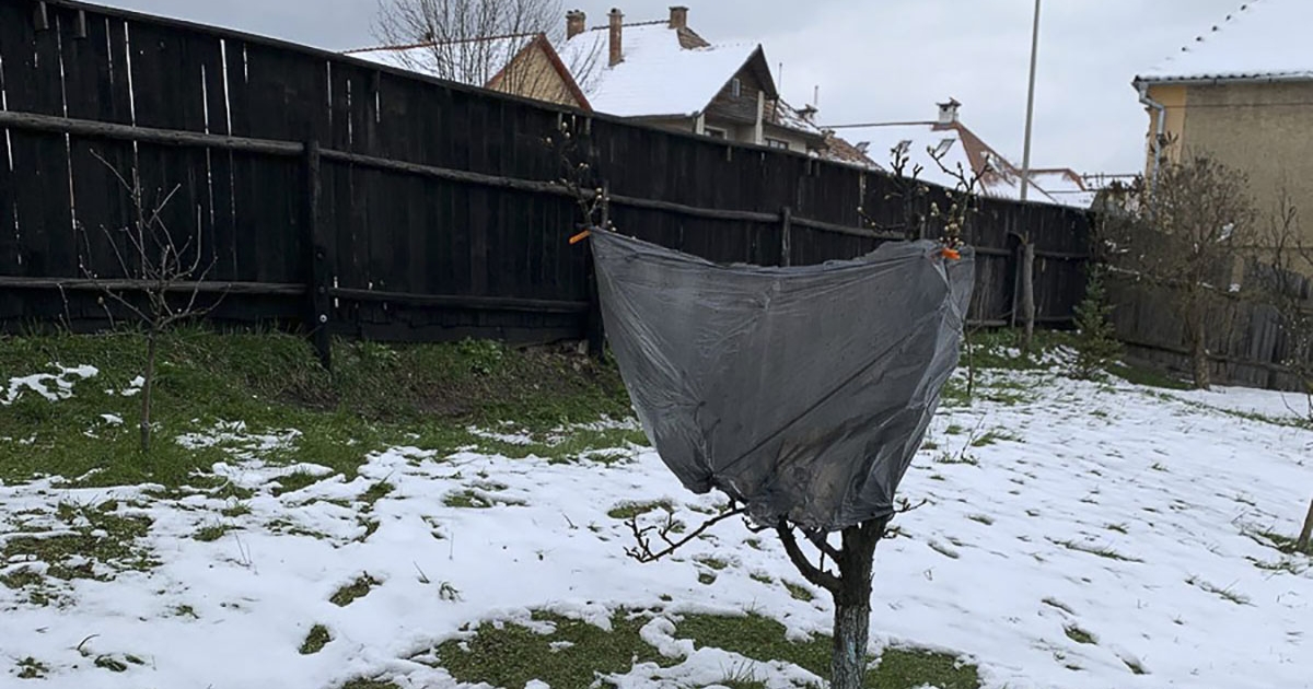 Fagykár után… uniós segítség